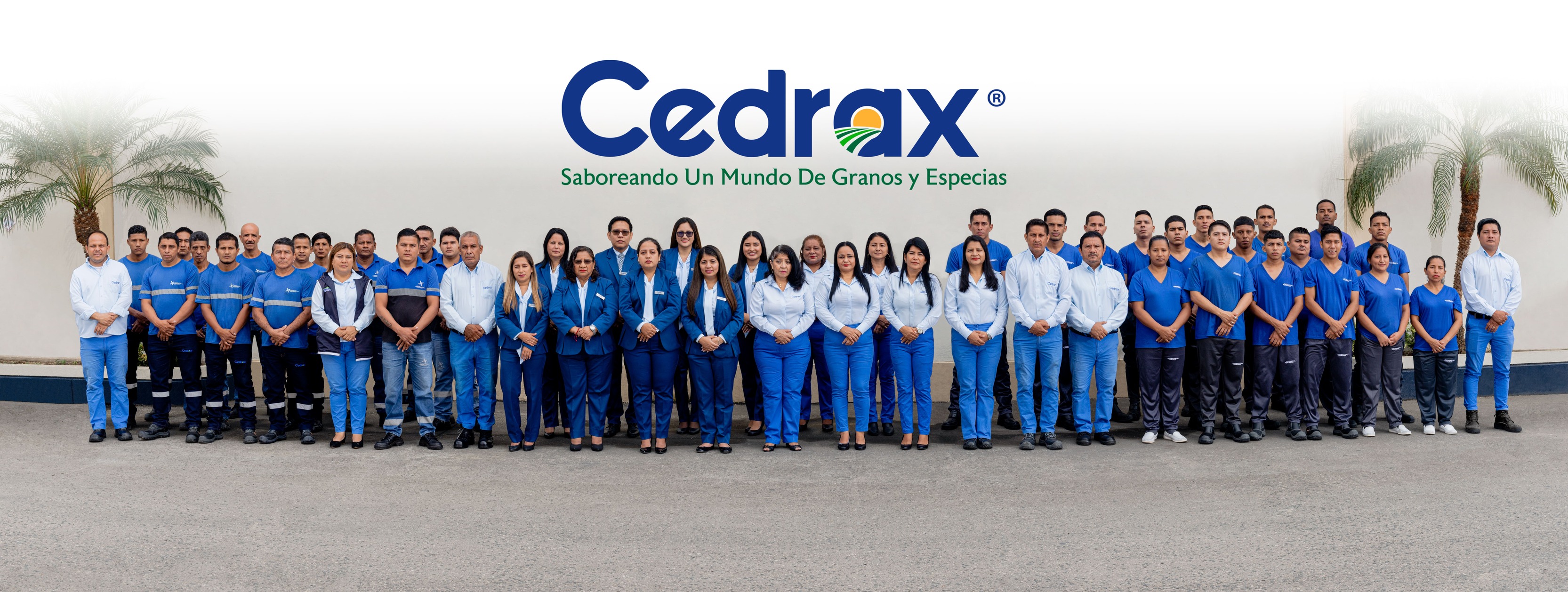 Cedrax SA (@cedrax.cedrax) • Facebook, Connect with friends