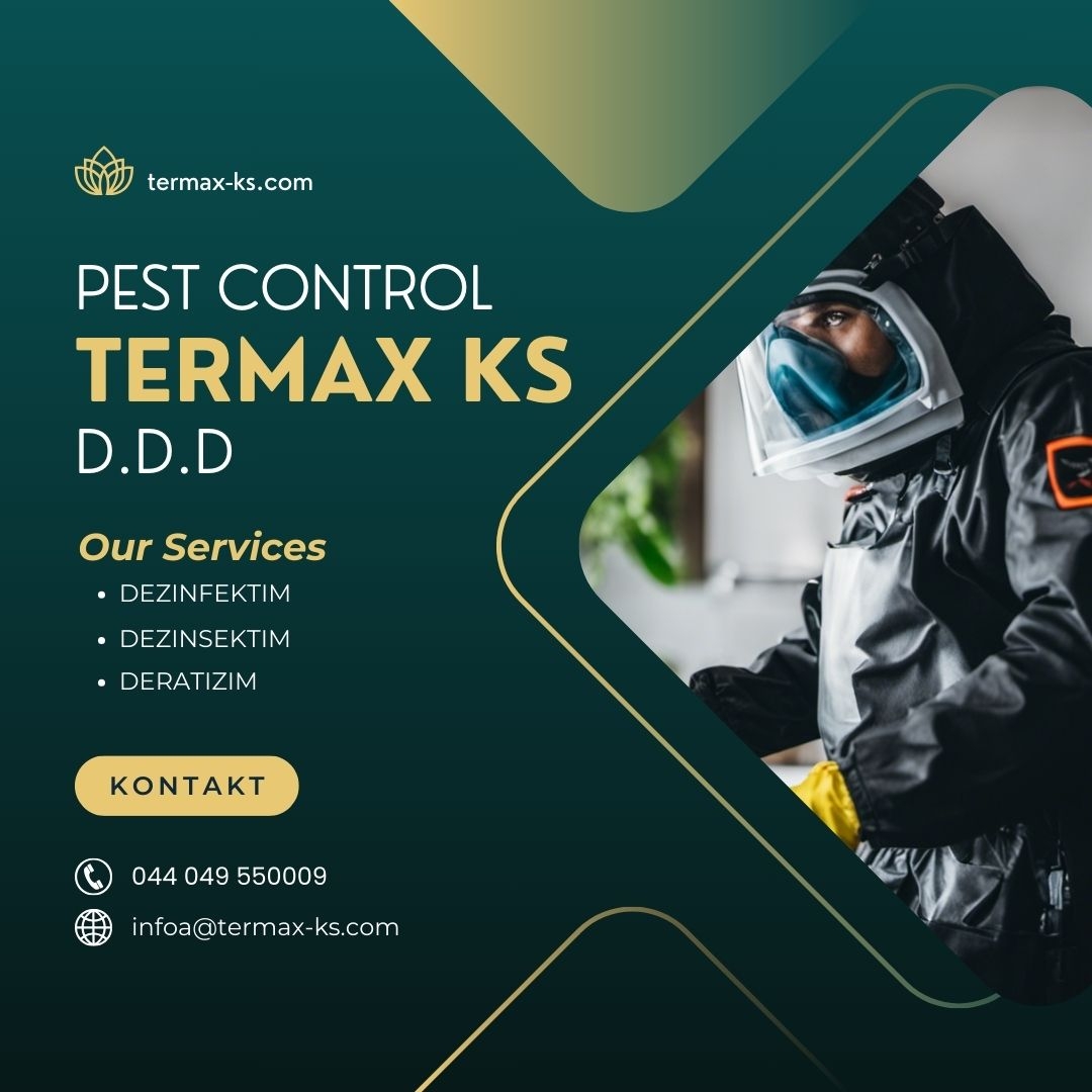 Termax-ks Dezinfektim Proffessional