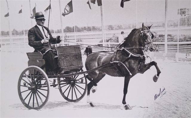 CHS HACKNEY HALL OF FAME... - The Canadian Hackney Society