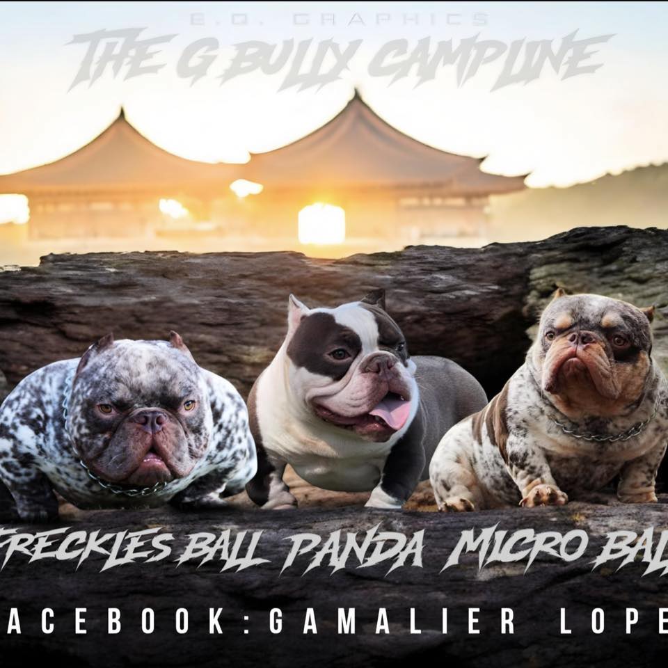 Gamalier Lopez