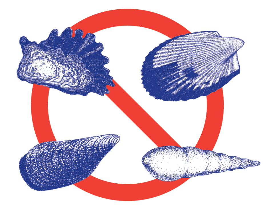 NSW Fisheries - Twofold Bay area algal toxin alert update NSW DPI ...