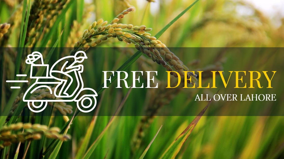 Rafiq Rice Traders