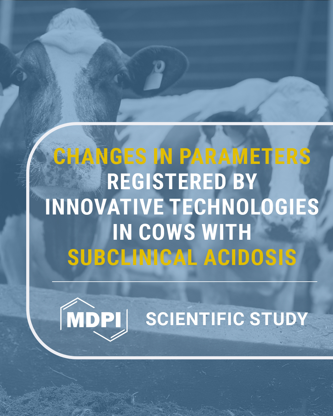 Brolis - The on-farm experiment revealed that cows with subclinical ...