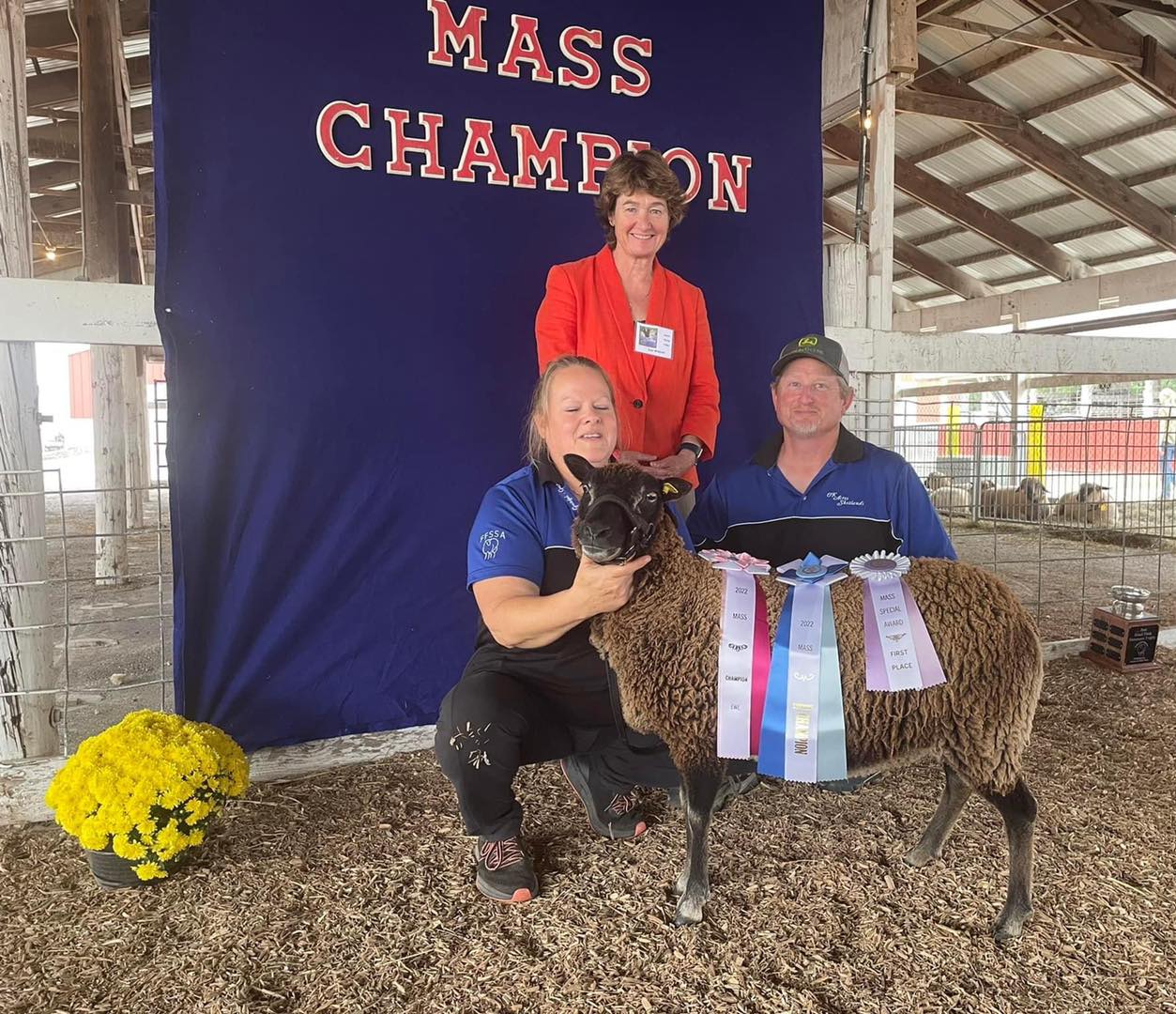 Congratulations... - Fine Fleece Shetland Sheep Association | Facebook