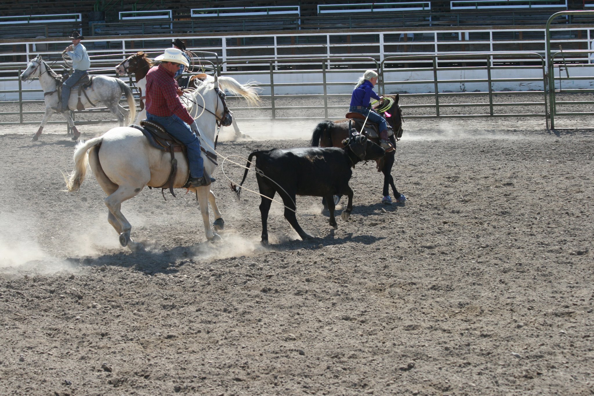 The 2025 Wrangler/Professional’s Choice ACTRA National Finals # 3 ...