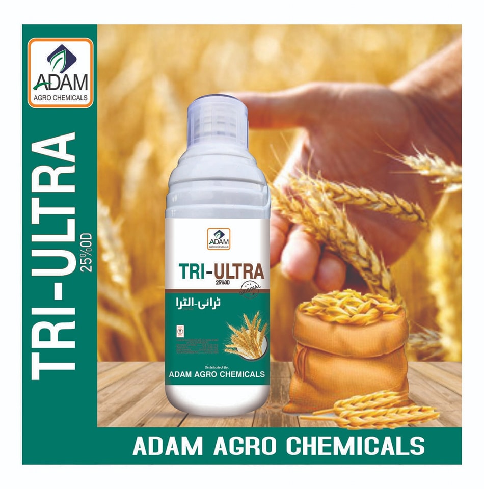 ADAM AGRO CHEMICALS | Multan