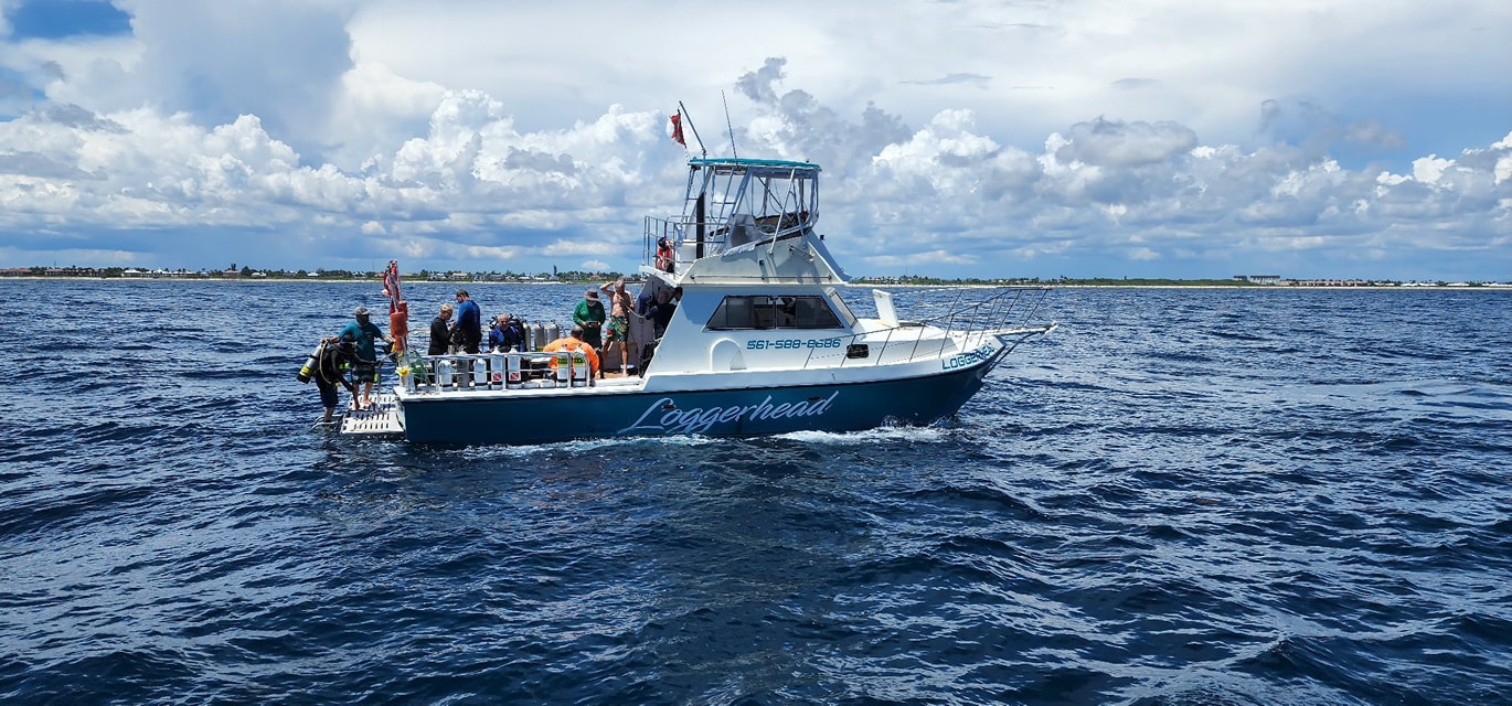 Ocean's Eight Dive Co. added a... - Ocean's Eight Dive Co.