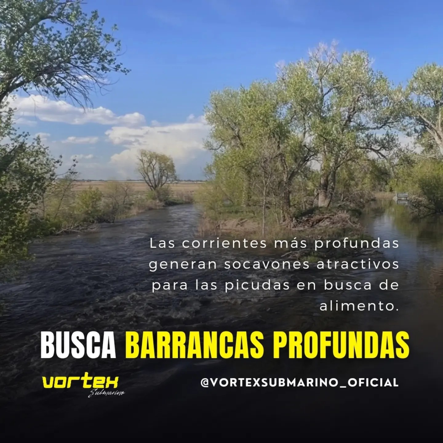 vortexsubmarino_oficial
