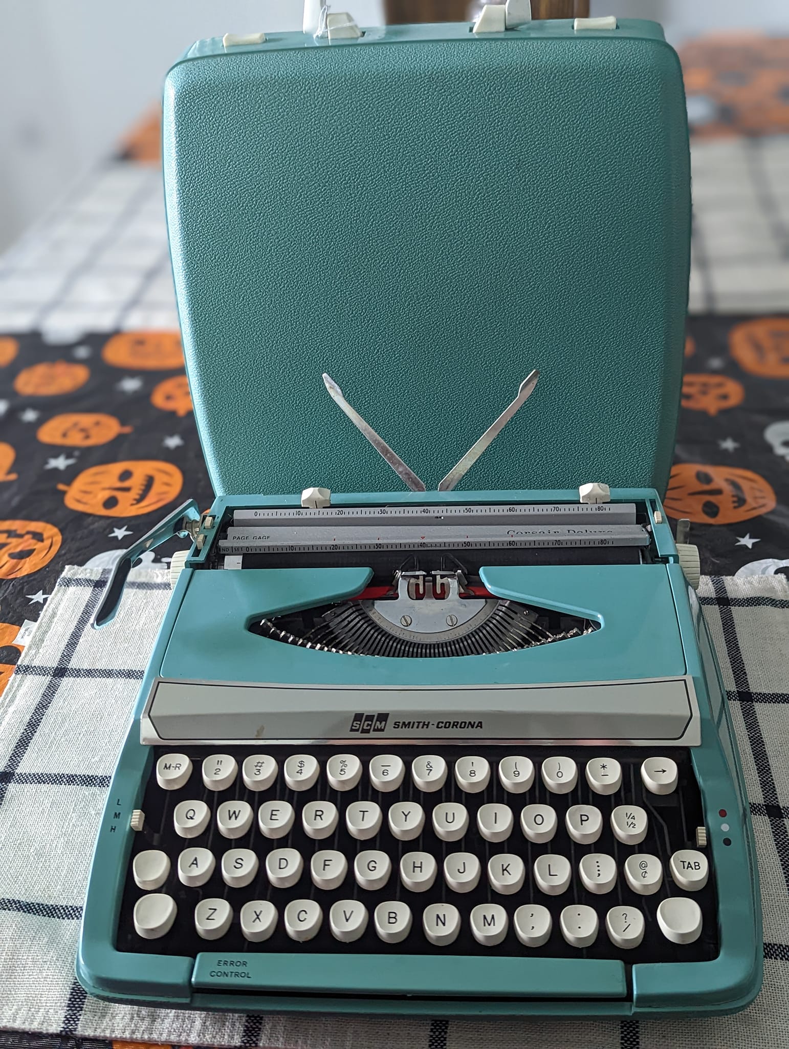 Kid collects antique manual typewriters