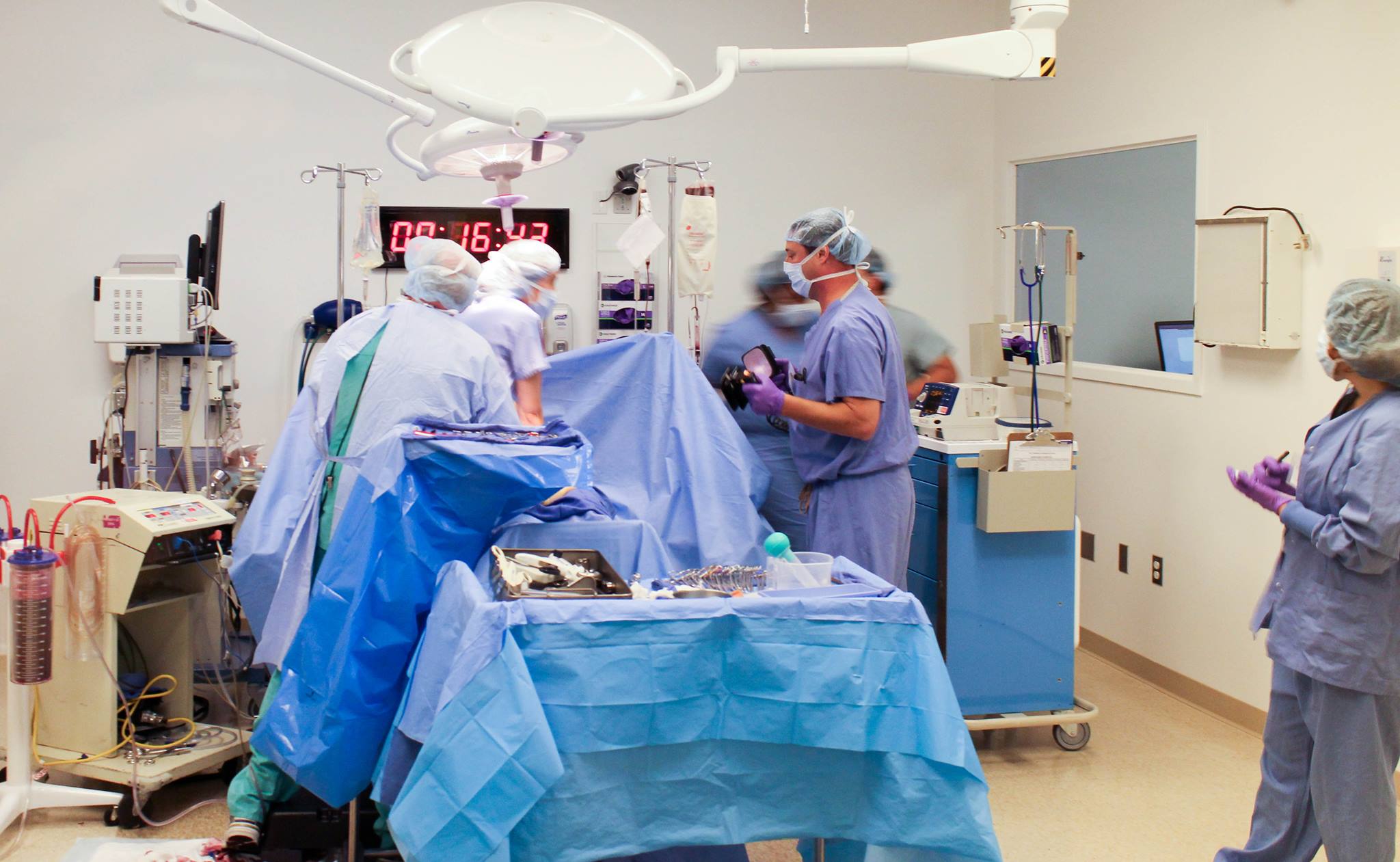 CMS | Center for Medical Simulation | Boston MA