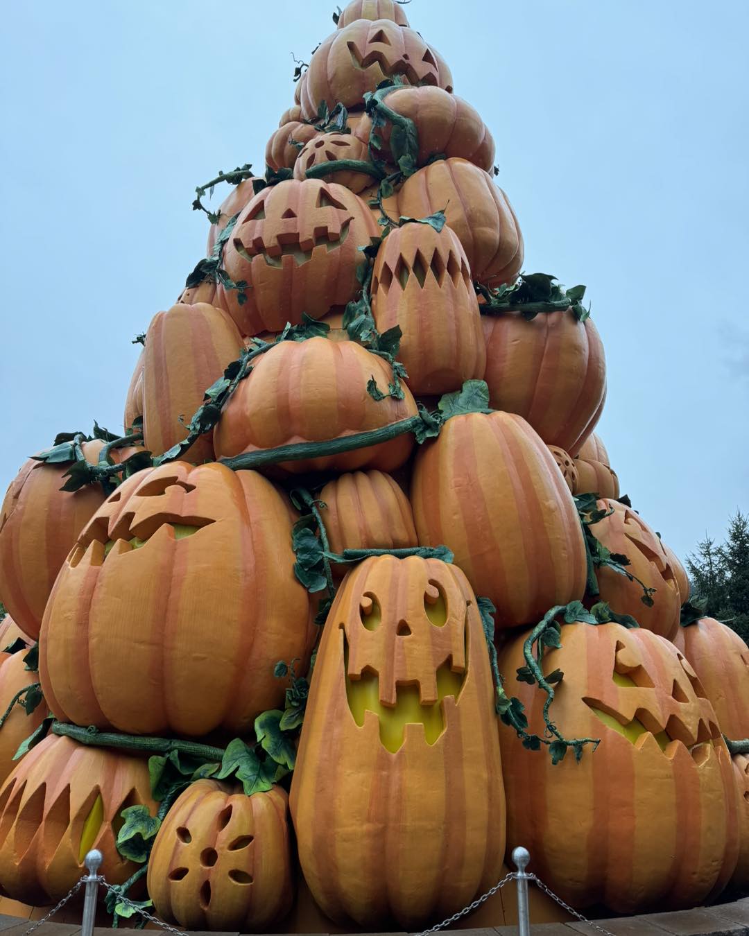 Give us your best pumpkin face! 🎃 ✨ The kids' Coat of Many