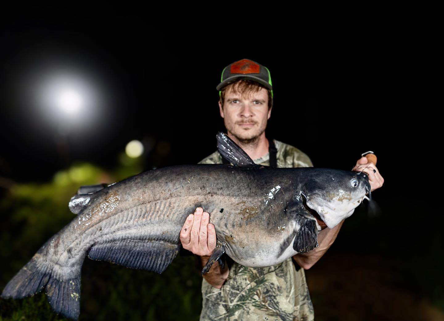 Rock Bottom Cats has a ton of good... - Trophy Cat Tackle | Facebook
