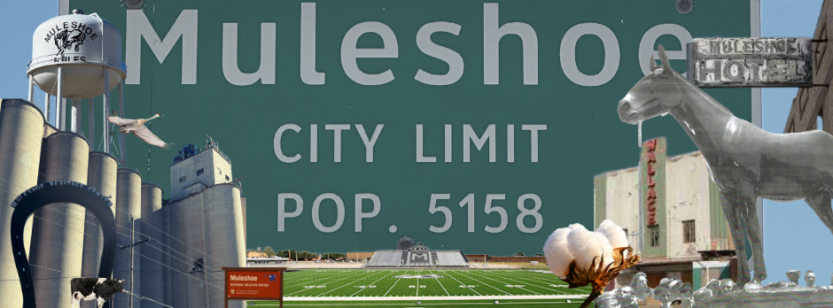 Muleshoe Area Public... - Muleshoe Area Public Library