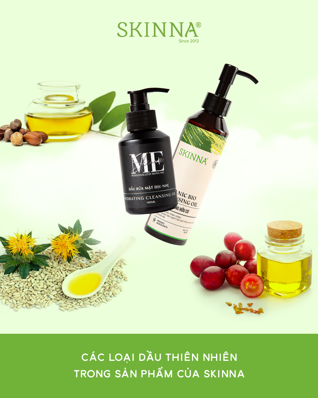 Các Loại Dầu Thiên... - Skinna - Organic and Natural Skincare