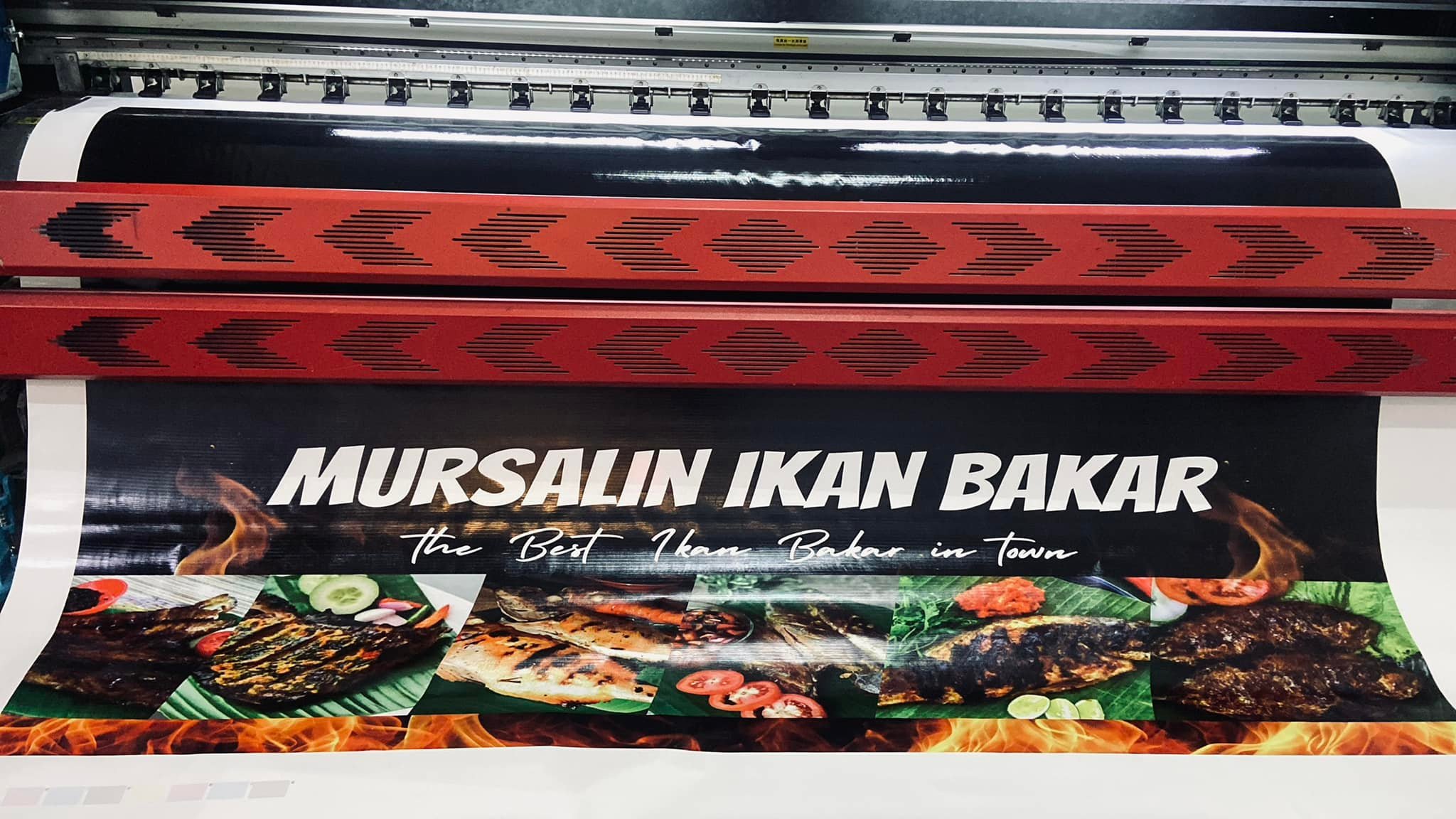 Kura-kura sticker | Kota Kinabalu