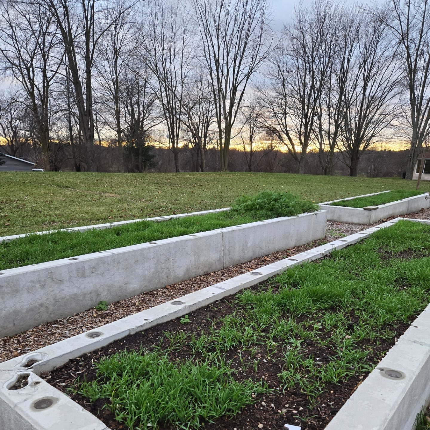 Meadow Roots Farm | Byron Center MI
