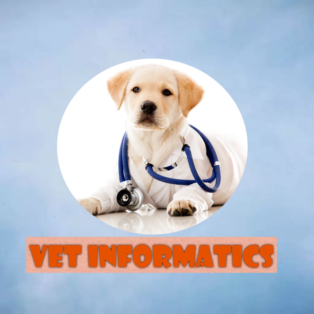 VET informatics
