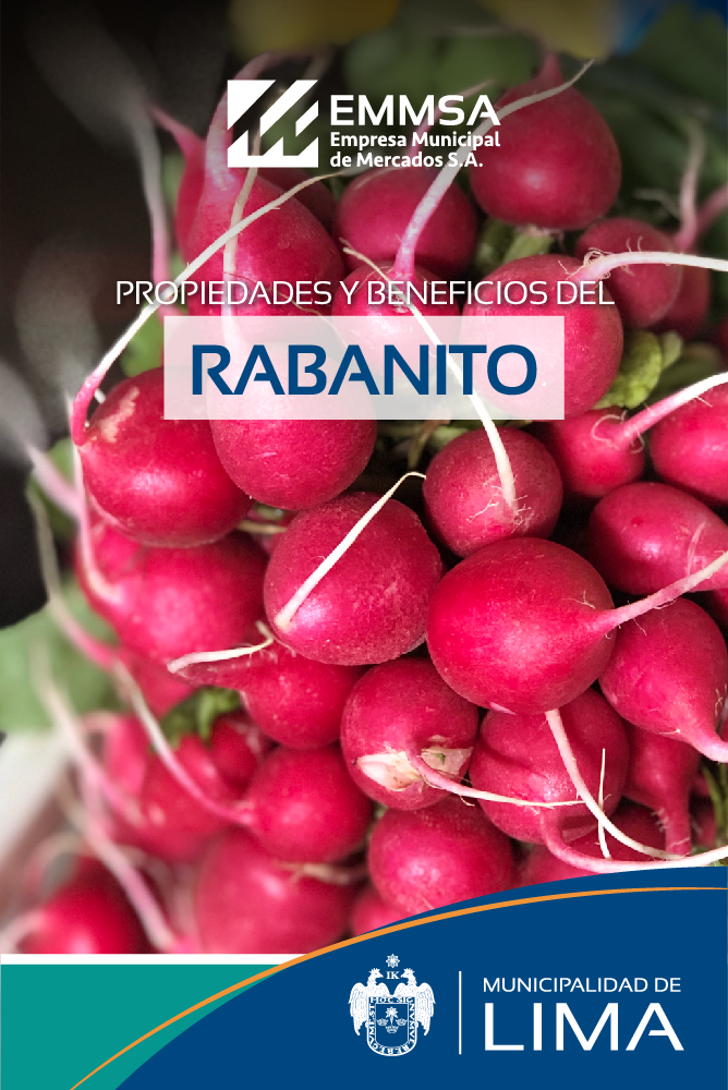 El rabanito... - EMMSA - Empresa Municipal de Mercados S.A. | Facebook