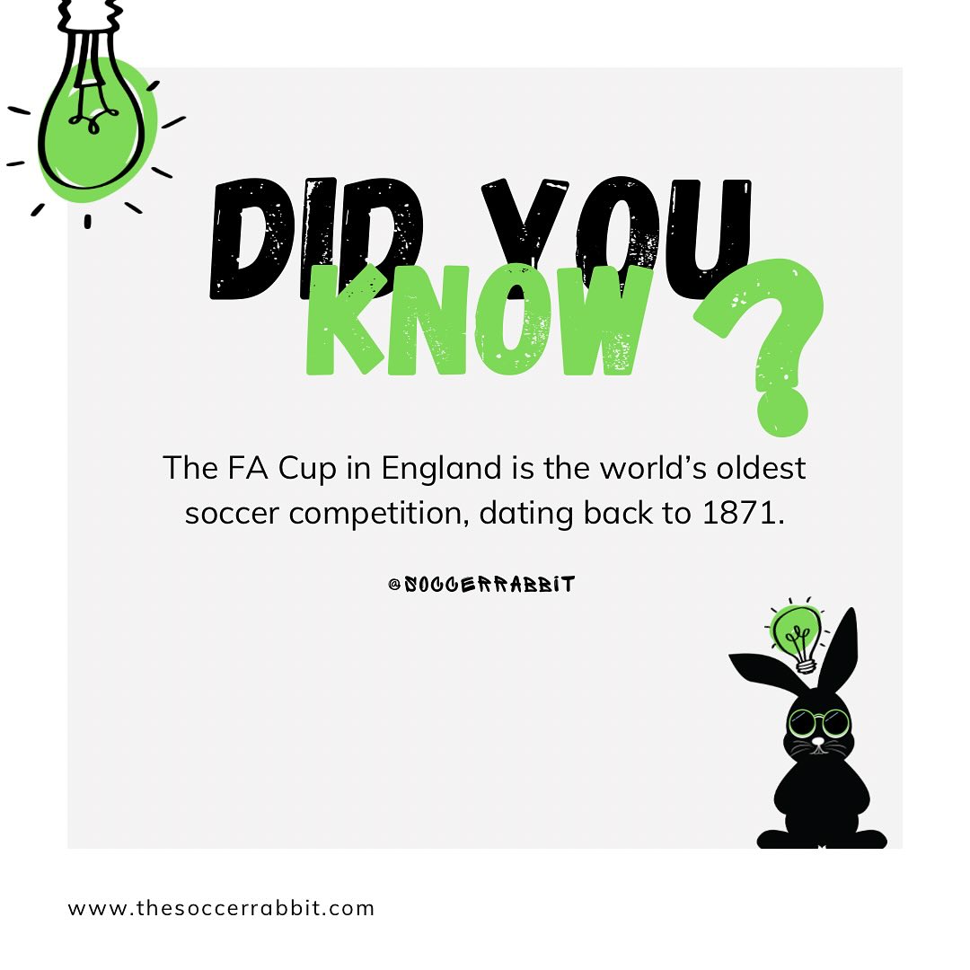 The Soccer Rabbit