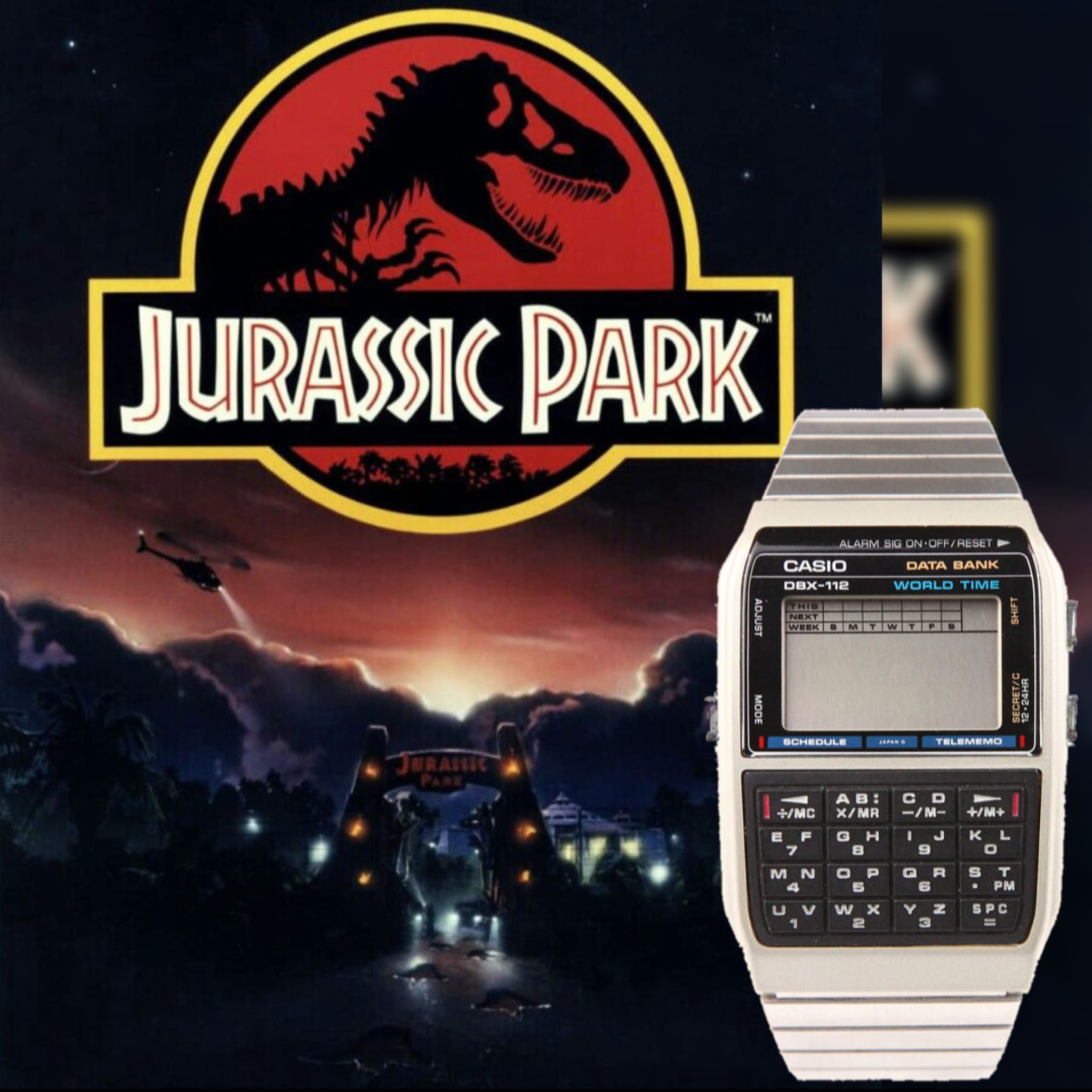 Casio & Drama (the sequel)... Looking at Casio on the screen. In 