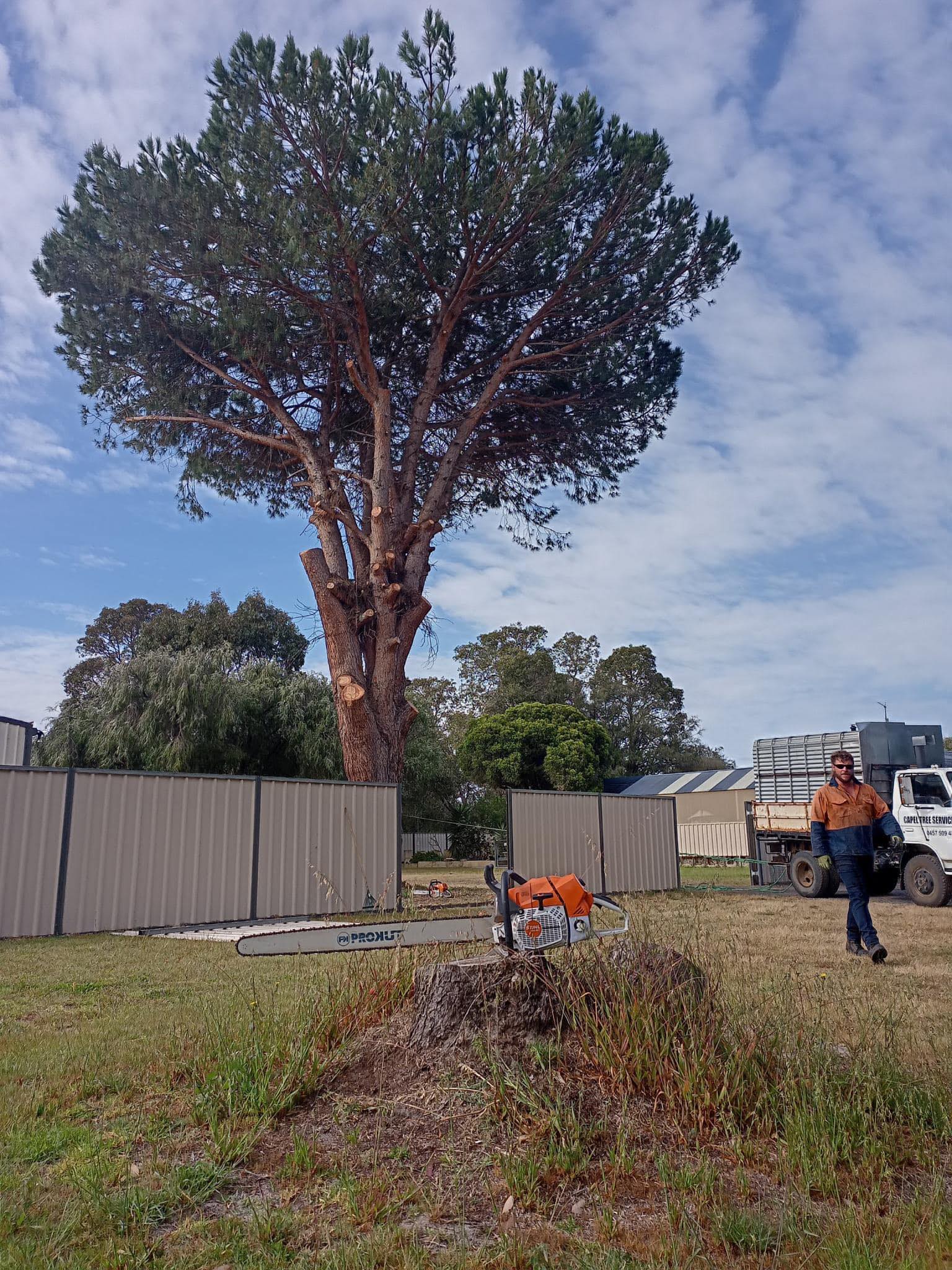 Capel Tree Service | Capel WA