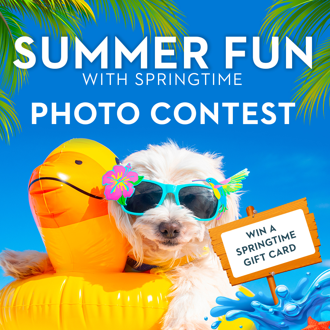 Introducing the “Summer Fun with... - Springtime Supplements
