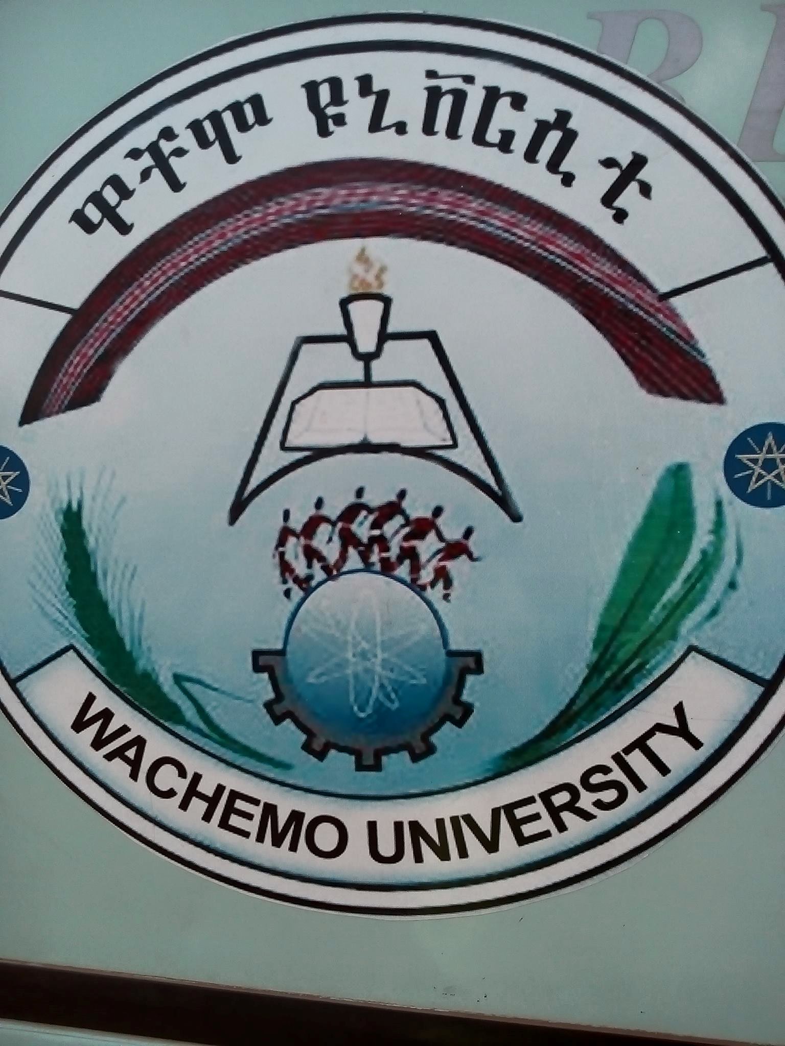 wachemo-university-dpt-economics