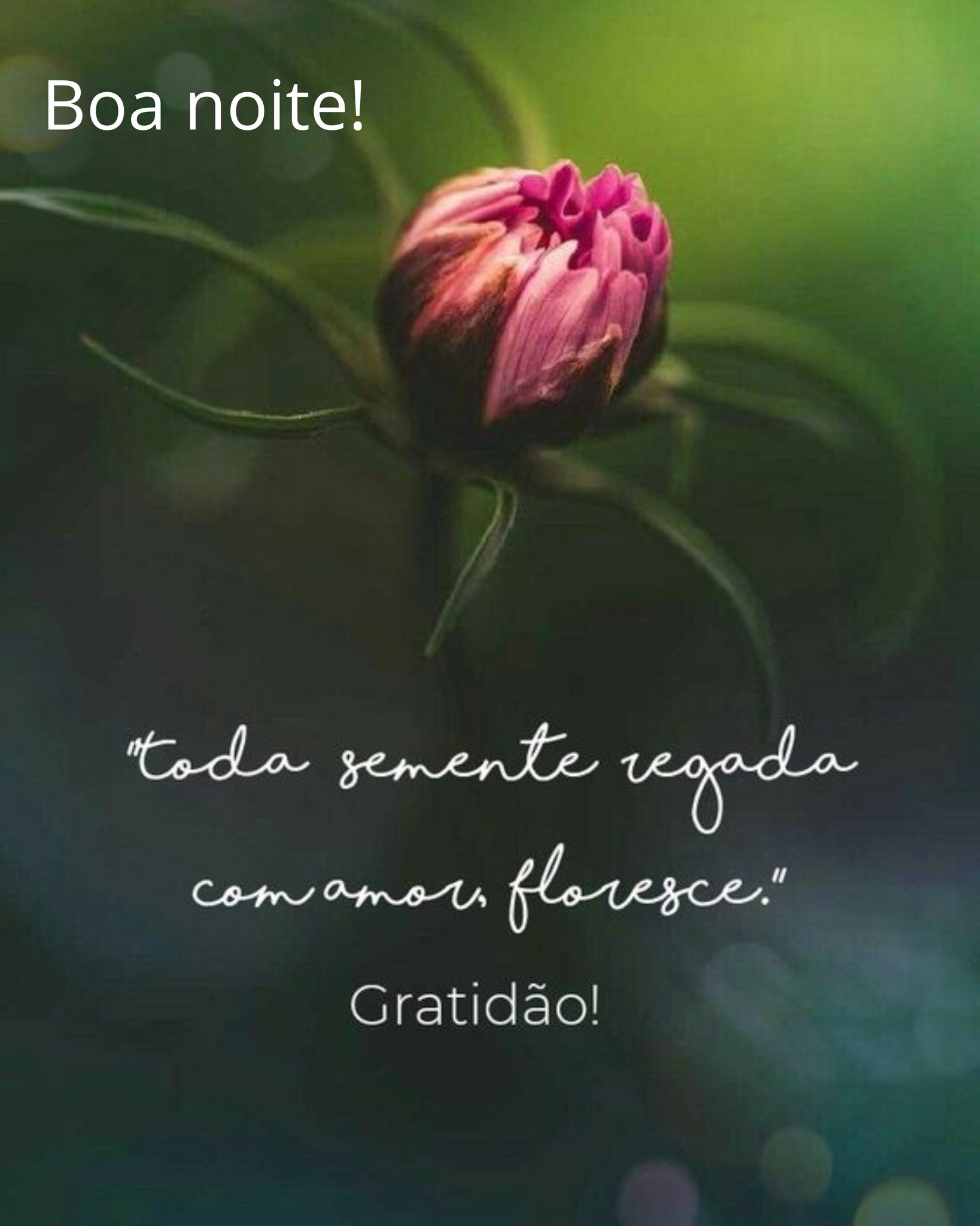 Siga a página da REVISTA PROJETO... - Projeto AutoEstima | Facebook
