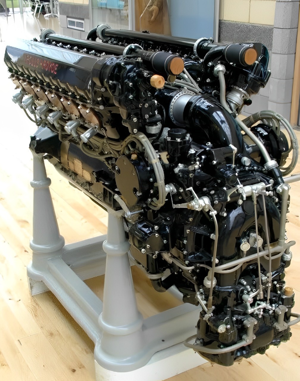 Riko - This image captures the sheer elegance and engineering beauty of ...