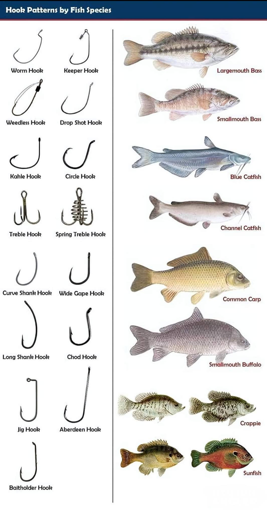 dough ball fishing hooks Little Stinker Tie 'N Go Bait Rig Sharp cutting point to 13 Fishing Concept A3 ceymar hd Model:SHD200PPT + Power Handle