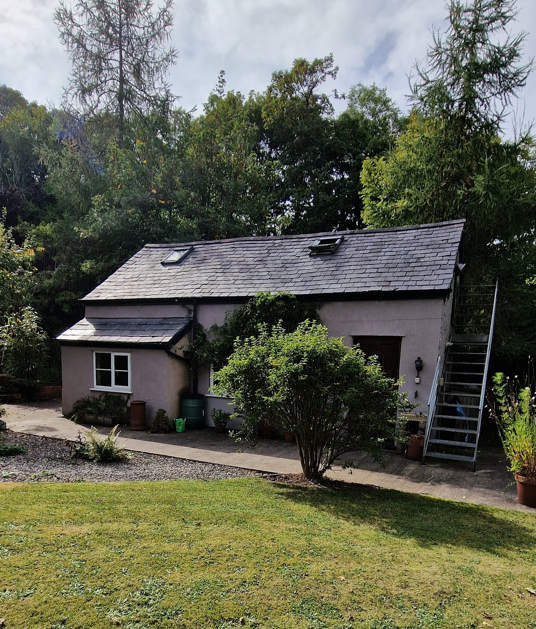 Rhewl Cattery - Near Ruthin | Ruthin