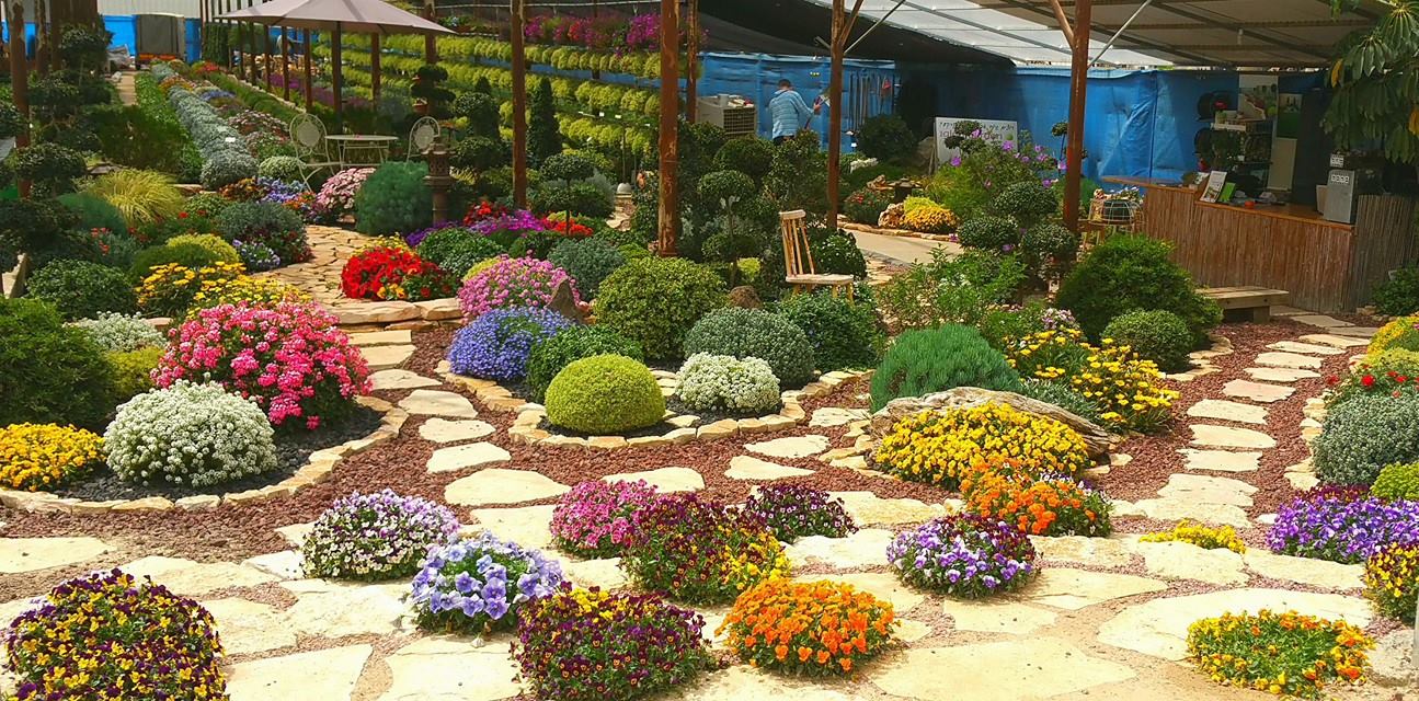 פפירוס גן - ‎פפירוס גן‎ added a new photo.