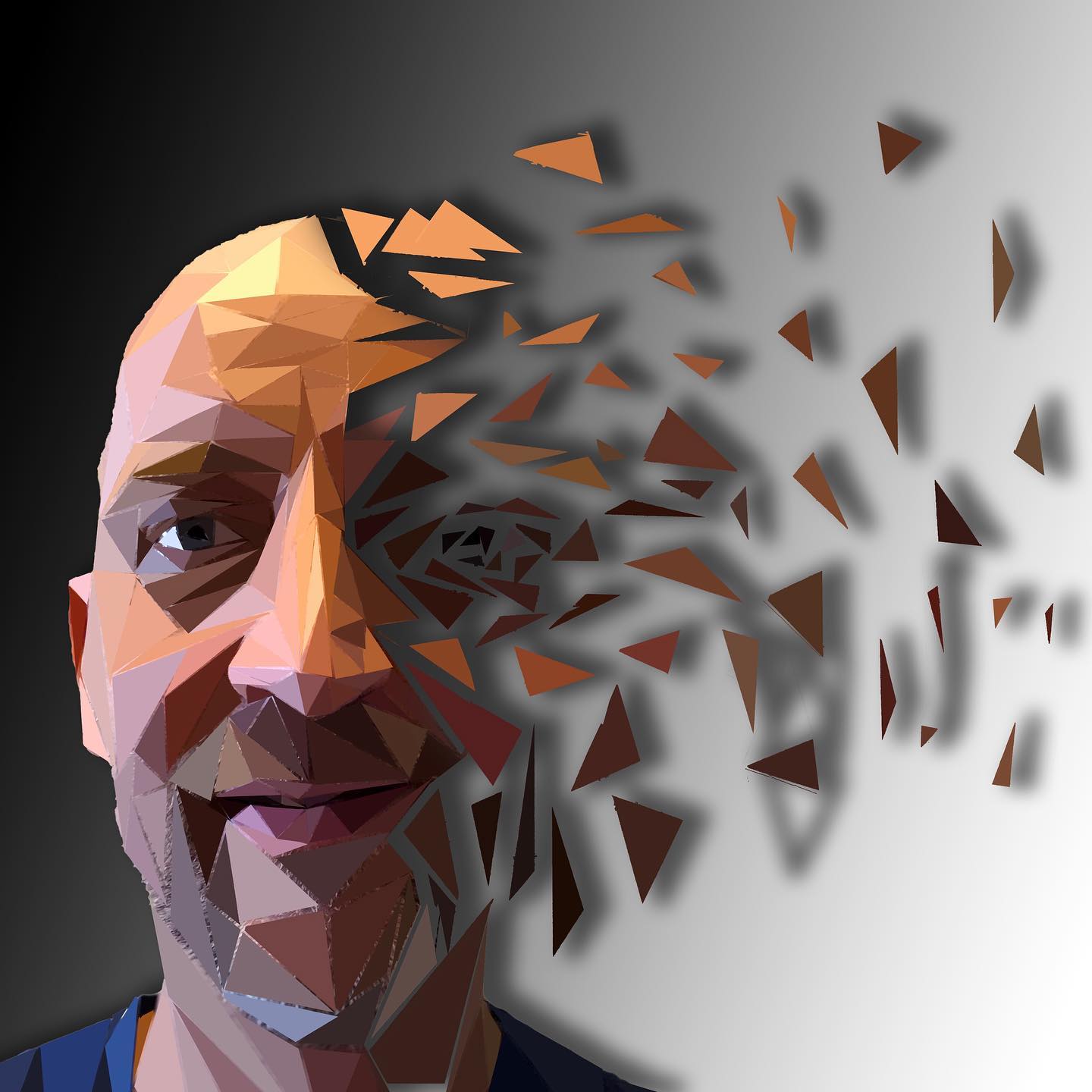 Natureofflowers - Watch how to make a #lowpoly fragmented...