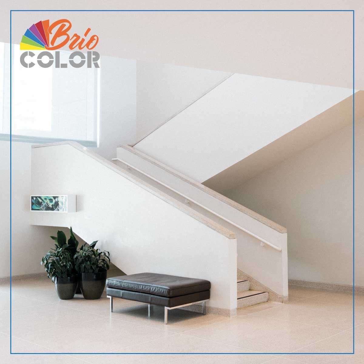 Brio Color | Florence
