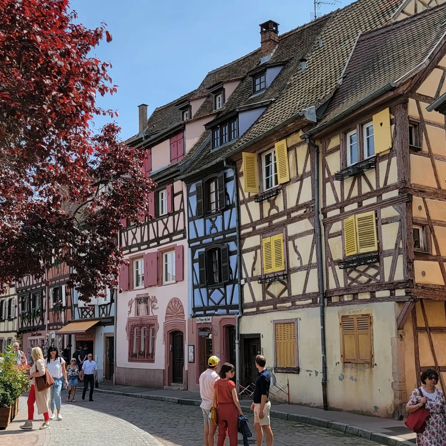 Wolters World - Views around Colmar, France. Pure Alsace... | Facebook