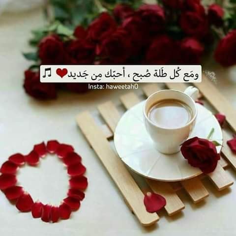 كلام حب وغزل انتم ورد الصباح Facebook