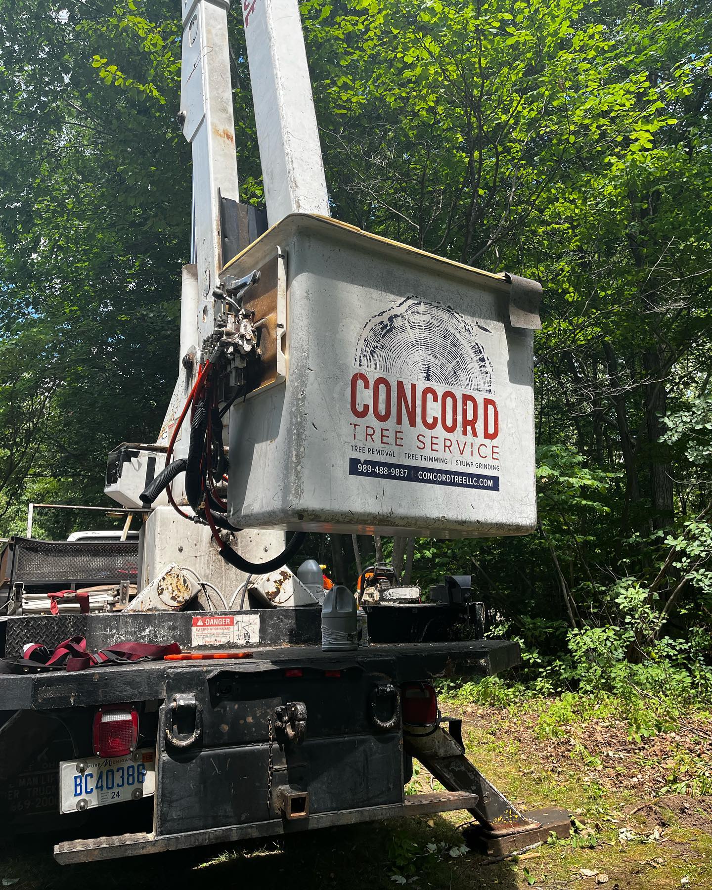 Concord Tree Service | Midland MI