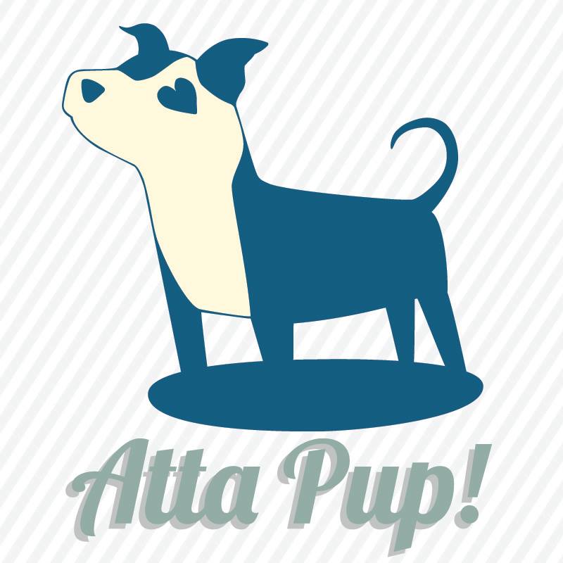 If your dog struggles to observe and listen and instead reacts with ...