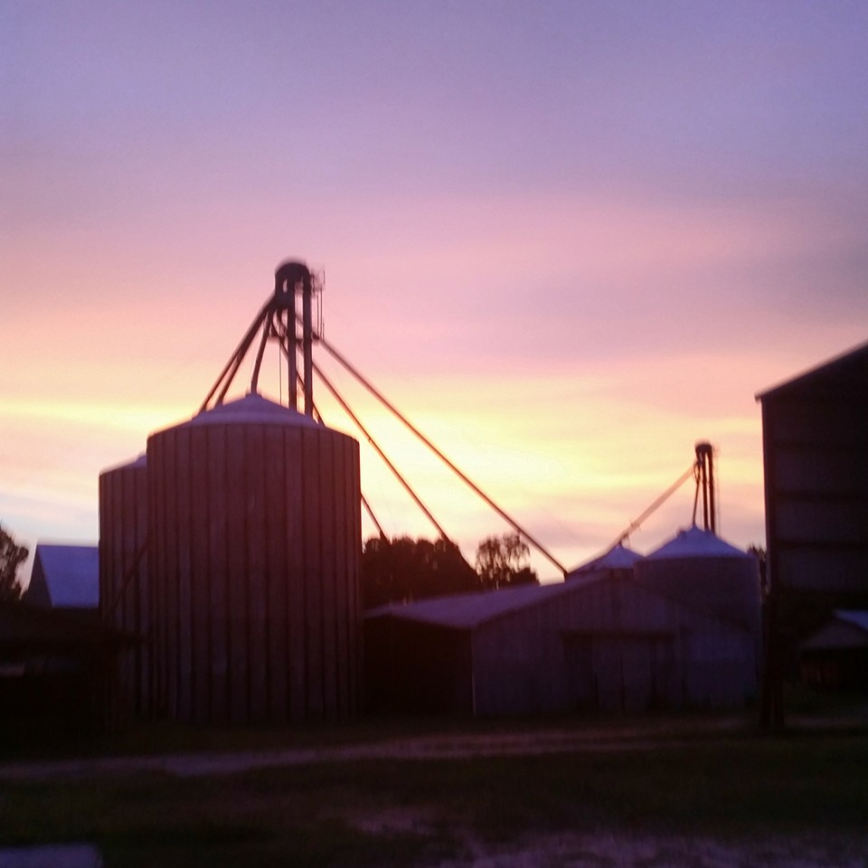 Town of MILAN,Ga | Milan GA