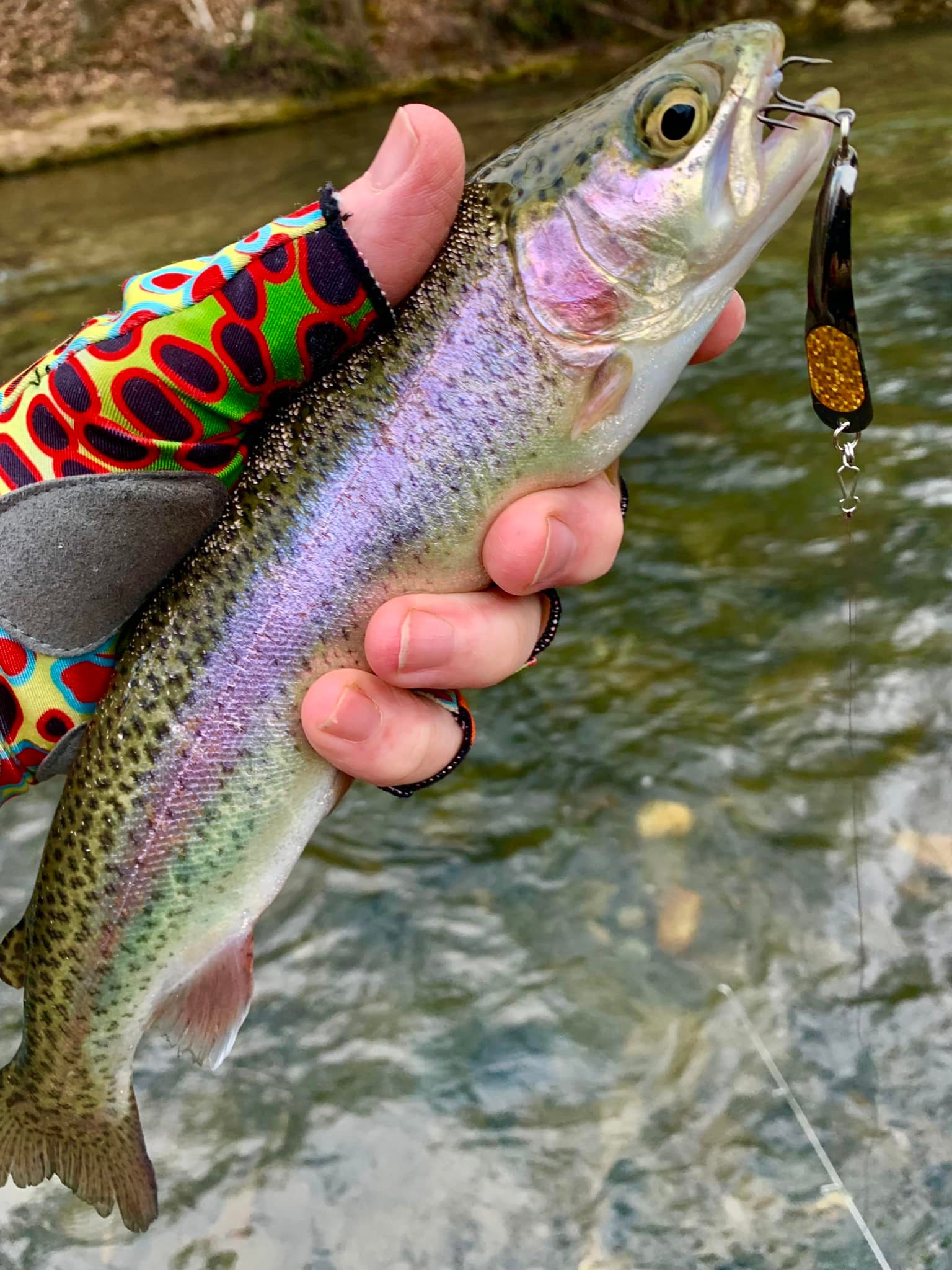 chattahoochee trout fishing lures GOT-CHA Pro Dynamic HD Trout Lures 