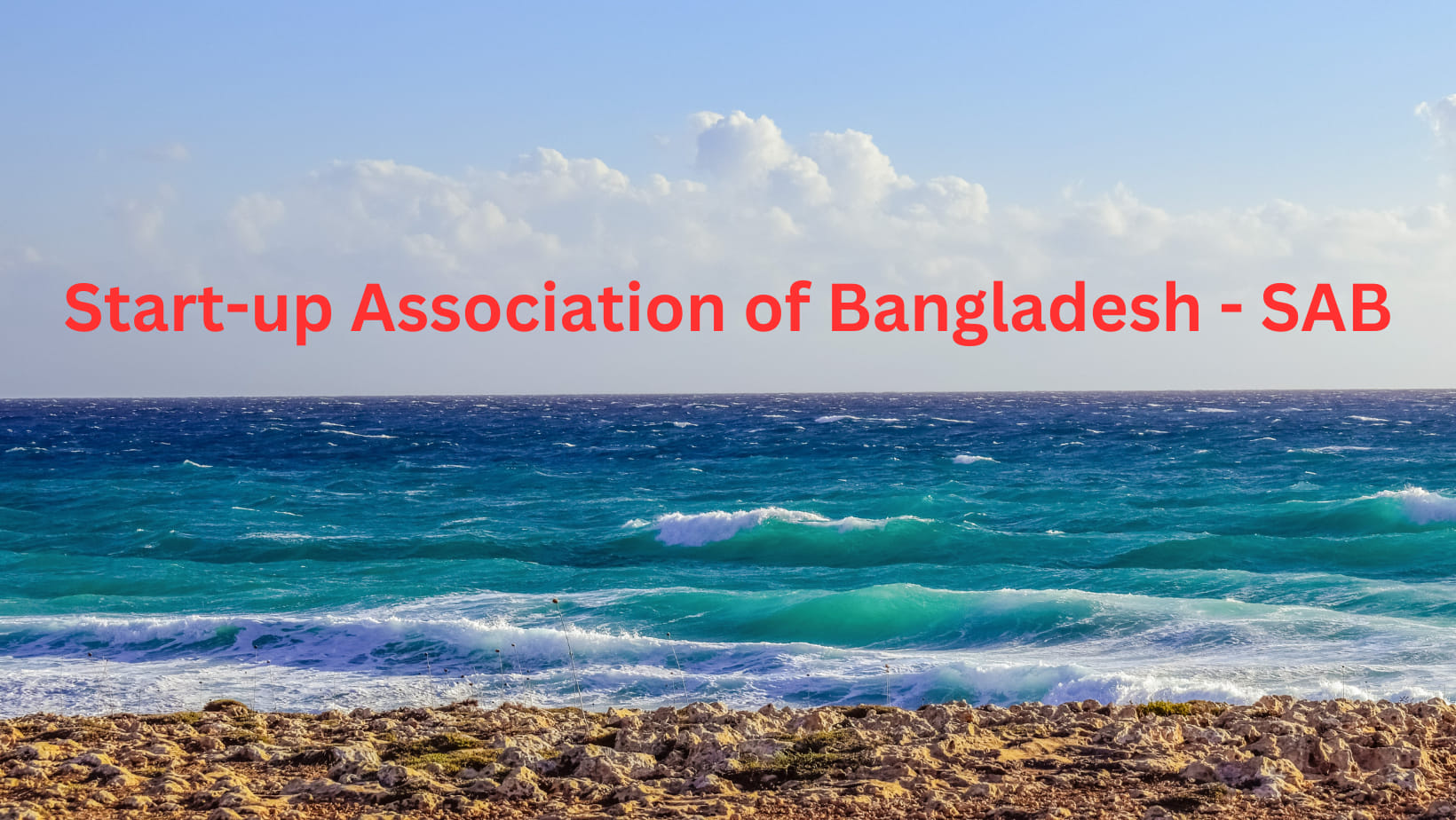 Startup Association of Bangladesh - SAB