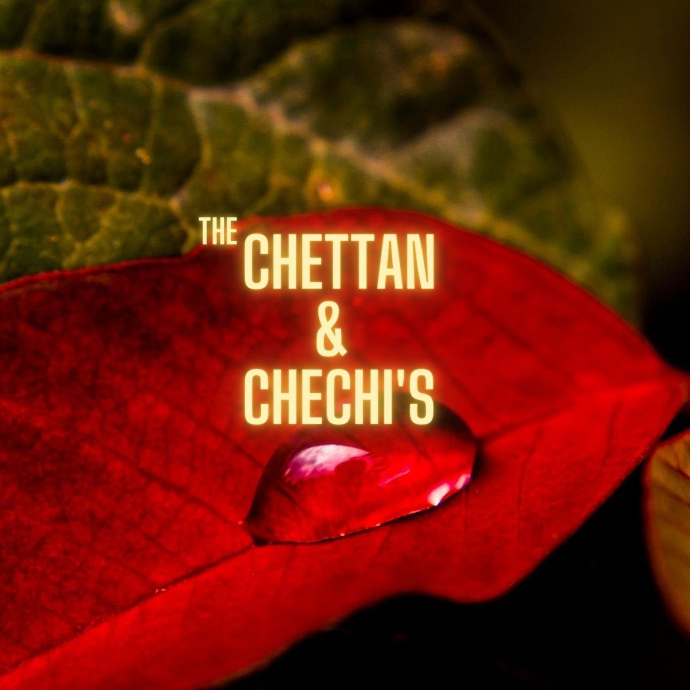 The Chettan and Chechis added a... - The Chettan and Chechis