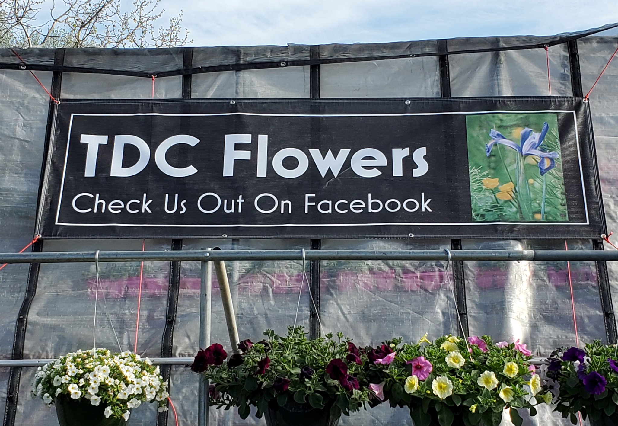 TDC Flowers | Bedford IN