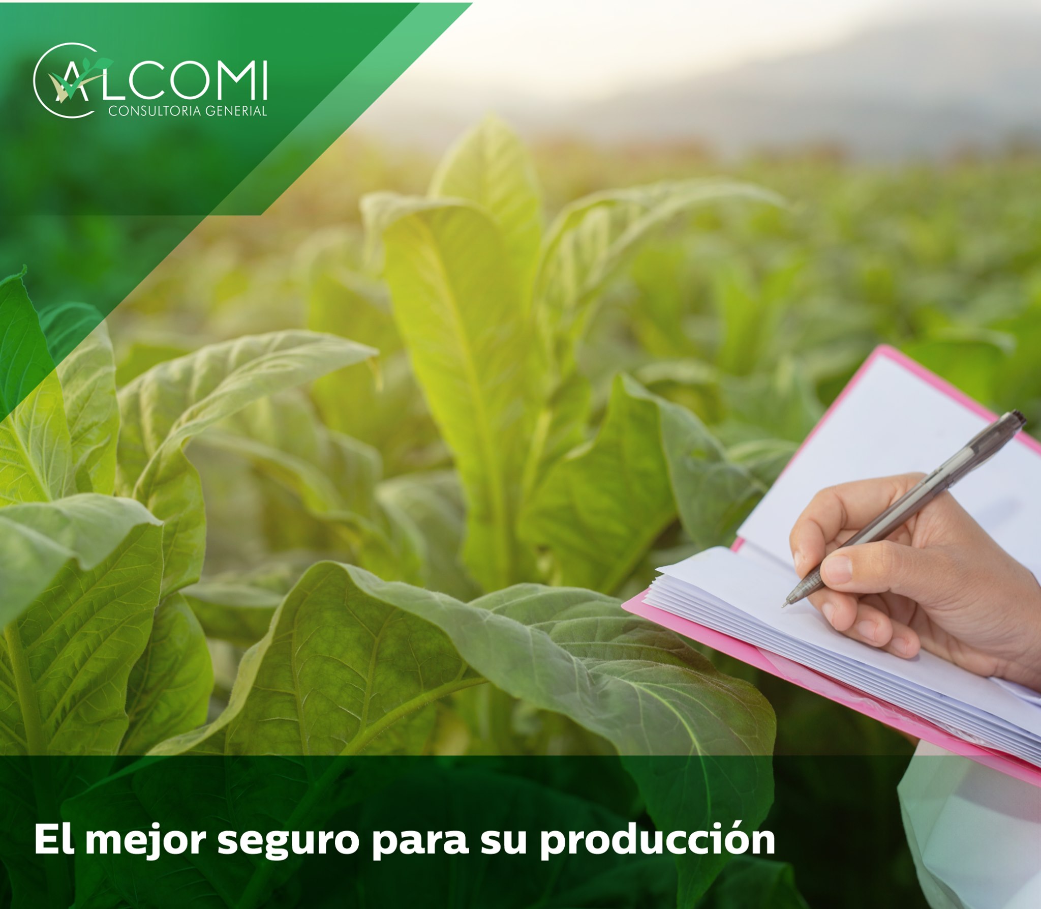 Alcomi - Consultoría General - Home