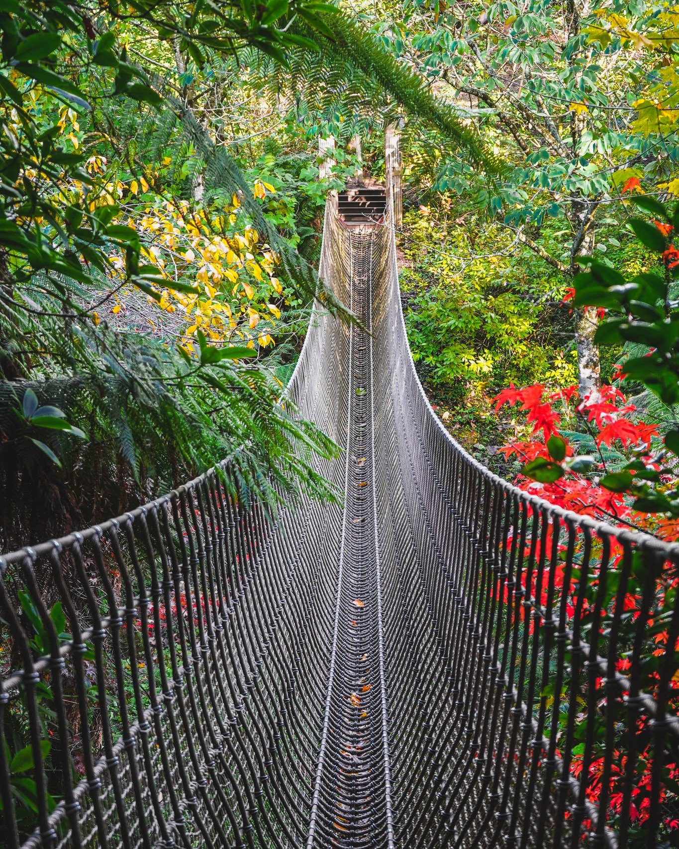 The Lost - A little reminder that the Burma Rope Bridge will be closed ...