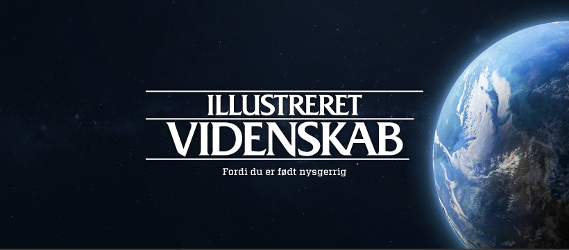 Assens Marina har i lang tid... - Fyens Stiftstidende Assens | Facebook