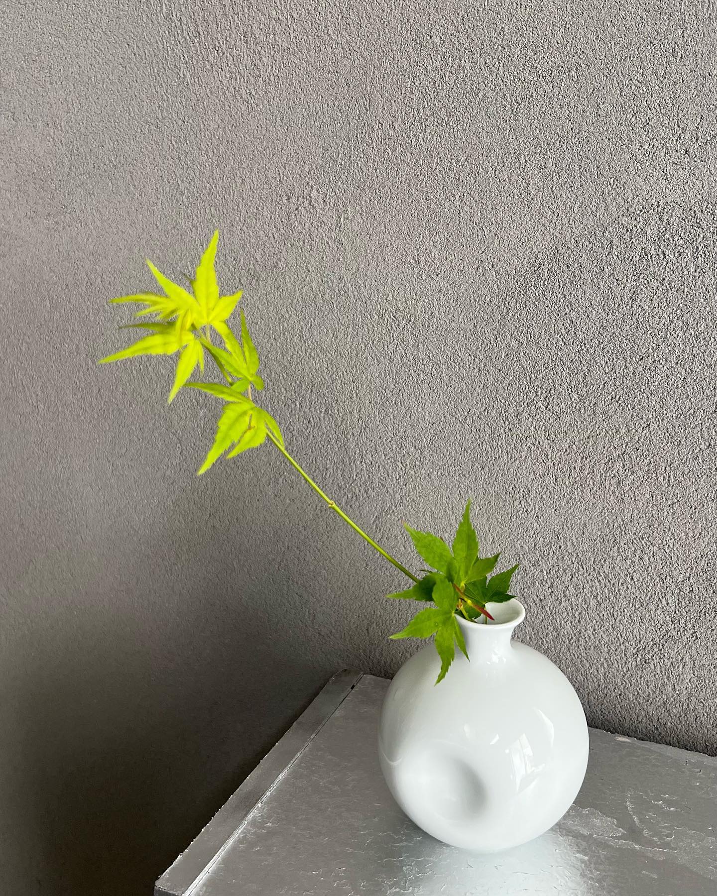 一輪挿し #花瓶 #奥川俊右ェ門 #pottery #有田陶器市