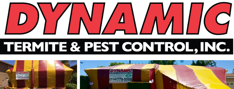 Dynamic Termite & Pest Control, Inc.