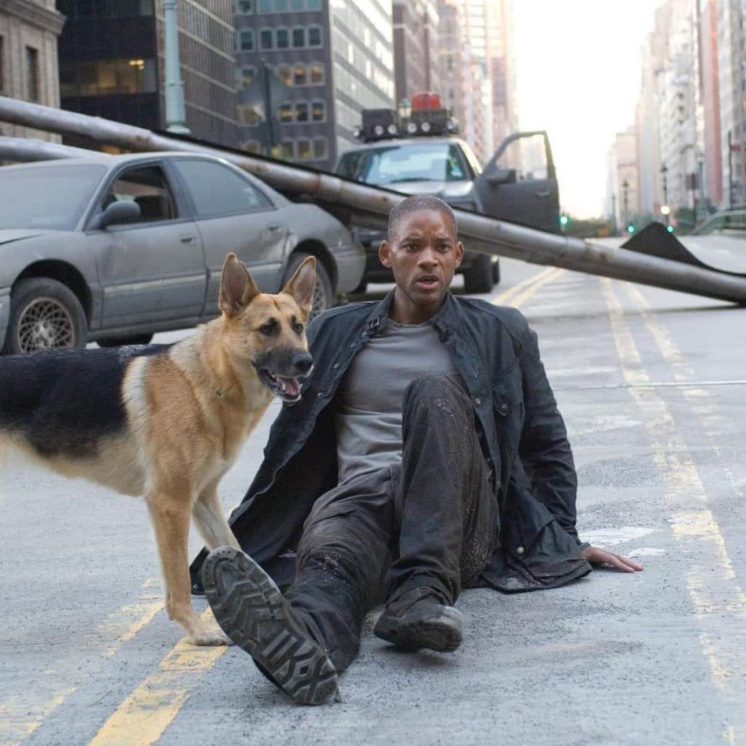 Filmissimi - Cinema & Serie Tv
