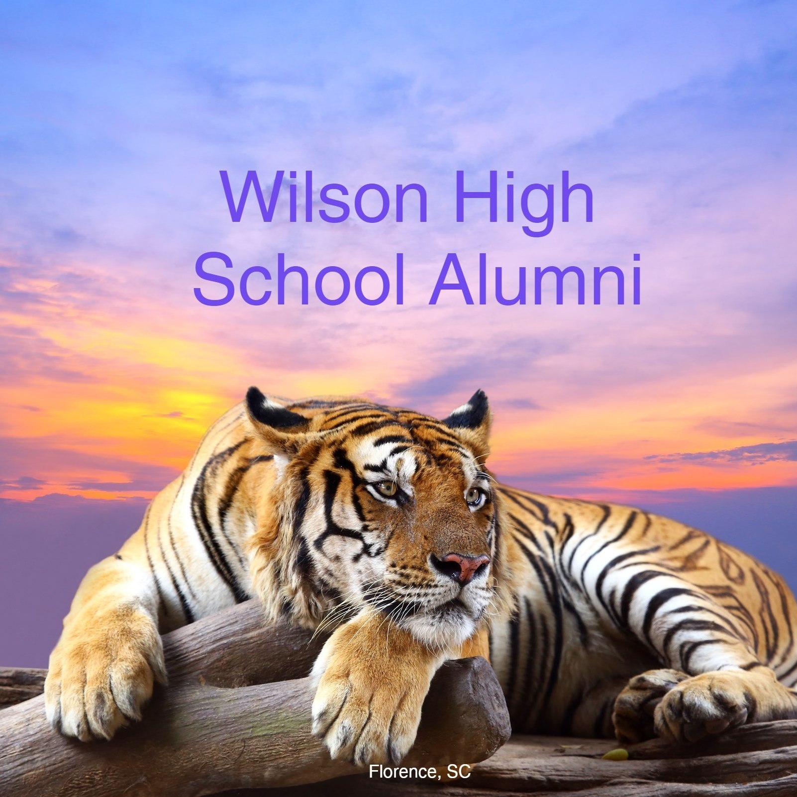 Wilson High Alumni | Facebook